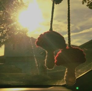 Meet your Posher, Noelle